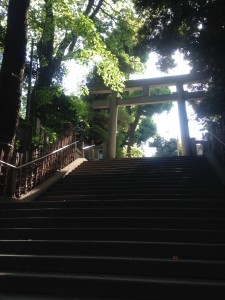 氷川神社１