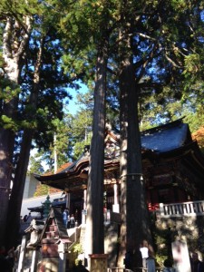 三峰神社④