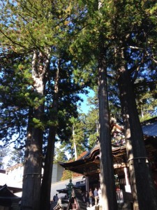 三峰神社⑥